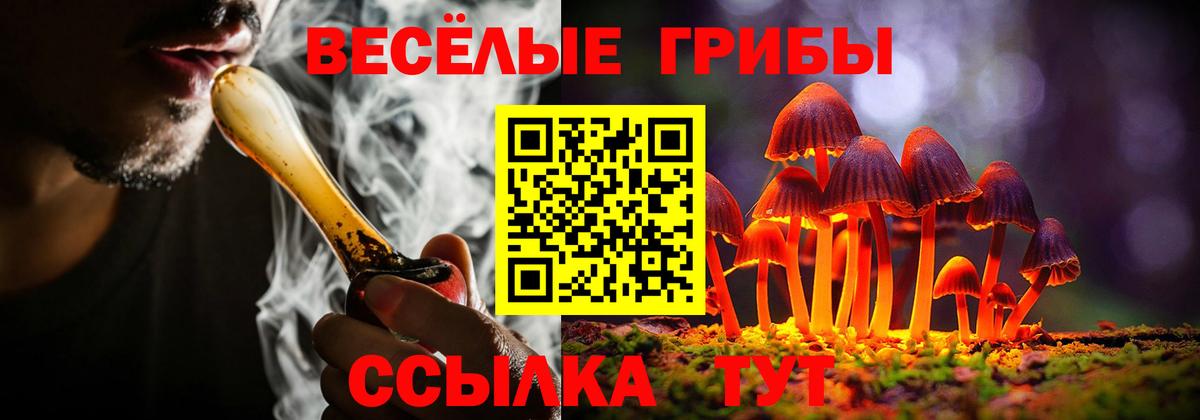 Галлюциногенные грибы ЛСД Дятьково
